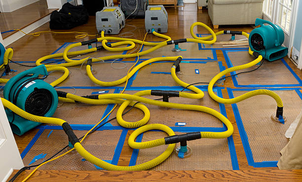 Professional Sewage Cleanup technician working in Watauga, TX